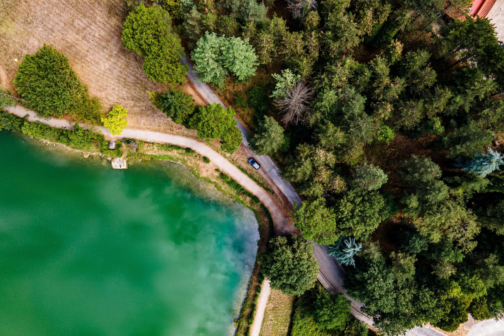 The Best Professional Drones for Aerial Photography